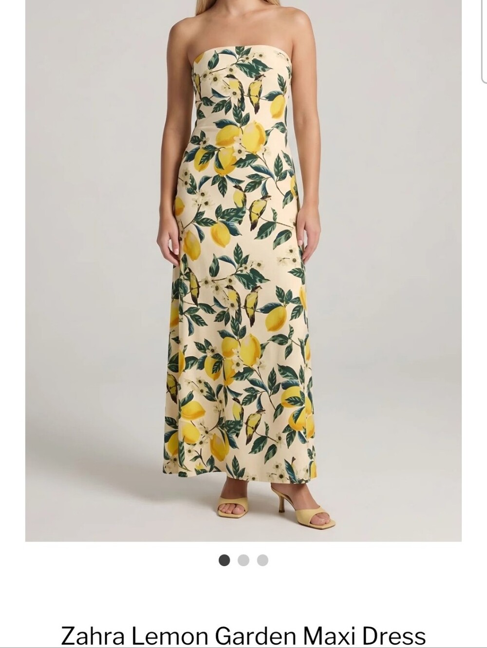 Fab'rik Zahra Lemon Garden Maxi Dress, Size M